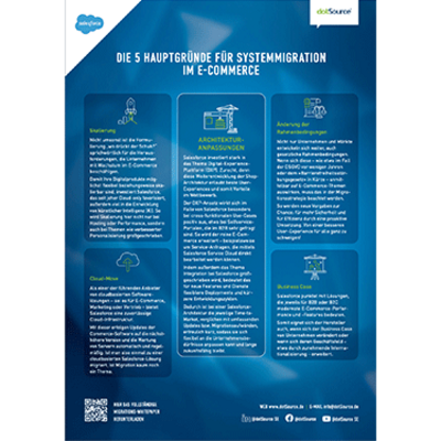 dotSource Cheat Sheet Migration Salesforce