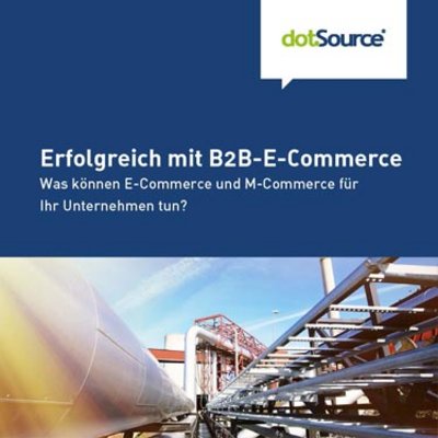 dotSource Whitepaper Erfolgreich mit B2B-E-Commerce