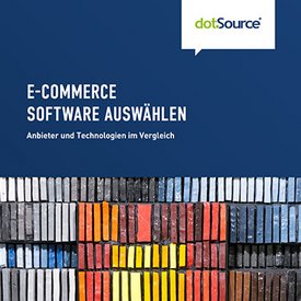 dotSource Whitepaper E-Commerce Software auswählen deutsch