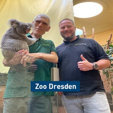 dotSource Soziales Engagement Zoo Dresden Koala Patenschaft