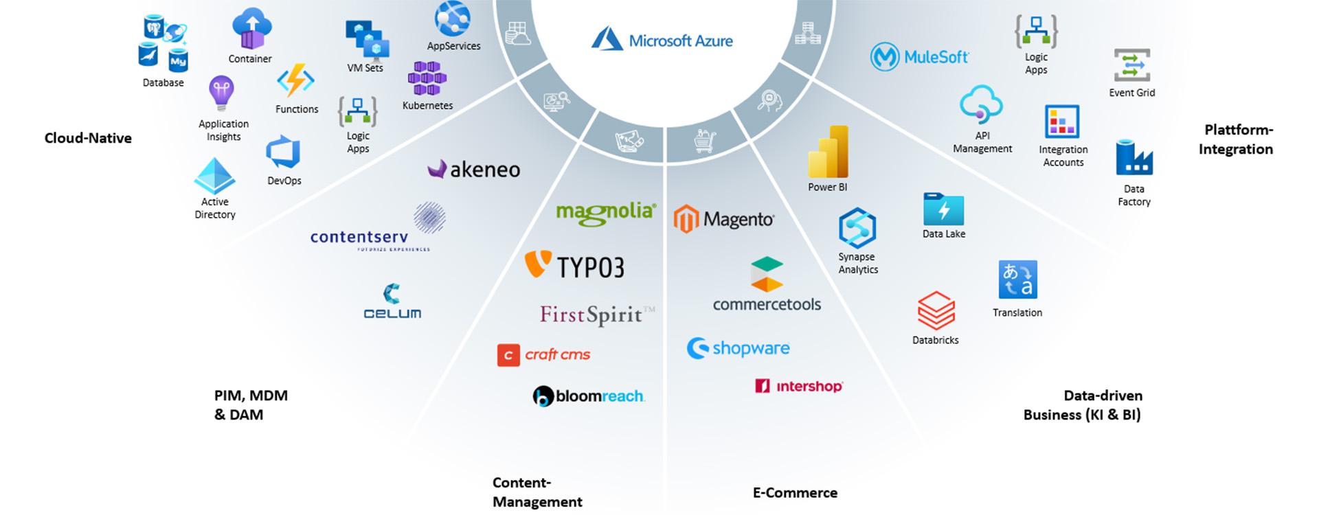 Microsoft Azure Agentur