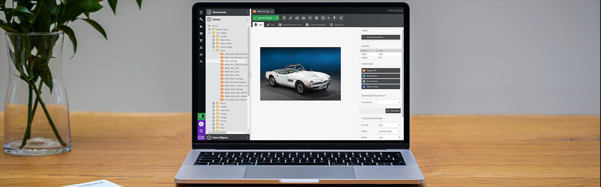 Pimcore Demo dotSource
