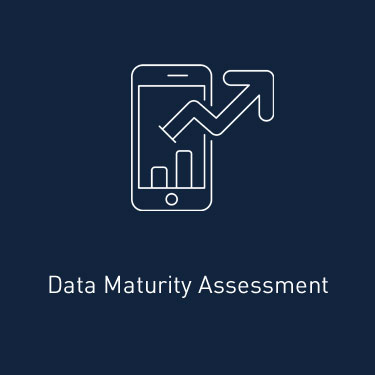 Data Maturity Assessment