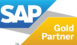 SAP Gold Partner dotSource