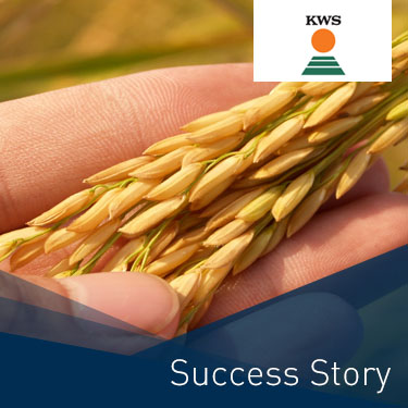 dotSource Success Story KWS E-Commerce