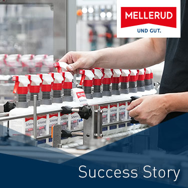 dotsource Kunde Mellerud Data-driven Business Success Story