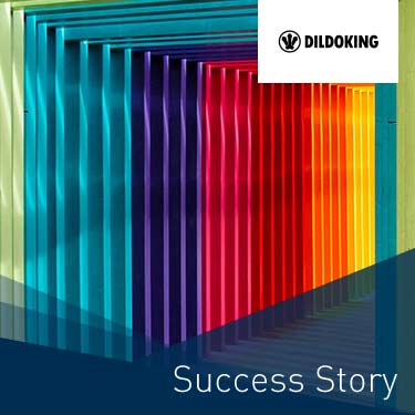 dotSource Success Story Dildoking Clickpool PIM Thumbnail