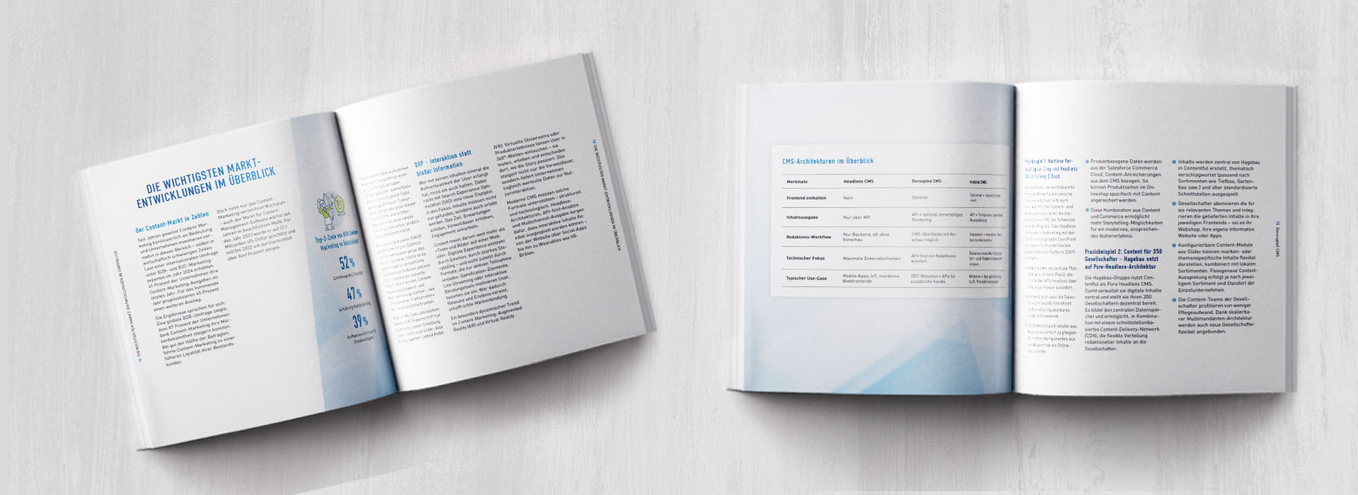 dotSource Whitepaper »Content-Management-Systeme auswählen – CMS-Anbieter und -Technologien im Vergleich« 