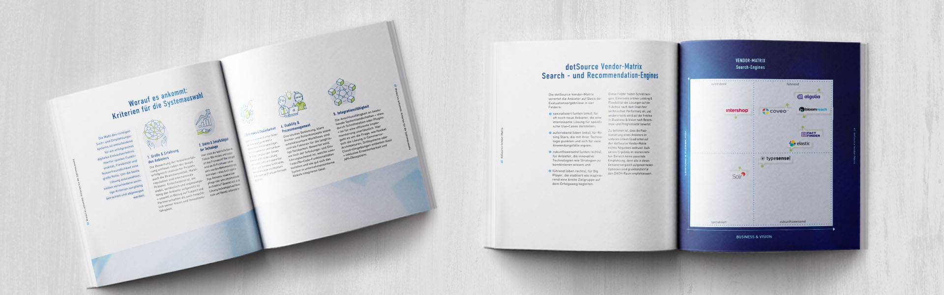 dotSource Whitepaper »Search- und Recommendation-Engines auswählen«